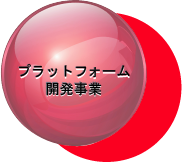 プラットフォーム開発事業